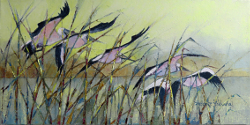 Pelican Flight - Verloren Vlei on the West Coast | 2016 | Oil on Canvas | 30 x 60 cm